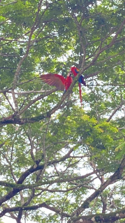 Las Plumas De Cabuya Cabuya  المظهر الخارجي الصورة